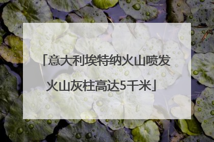 意大利埃特纳火山喷发 火山灰柱高达5千米